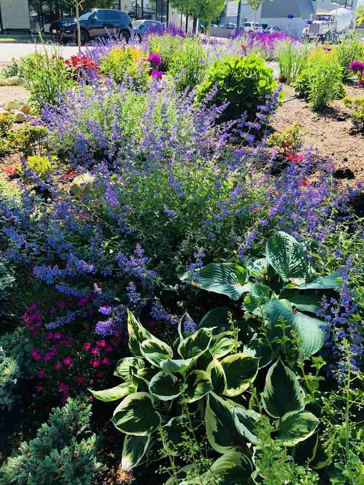 W 14th Ave & Arbutus St - Photo 7 of 29