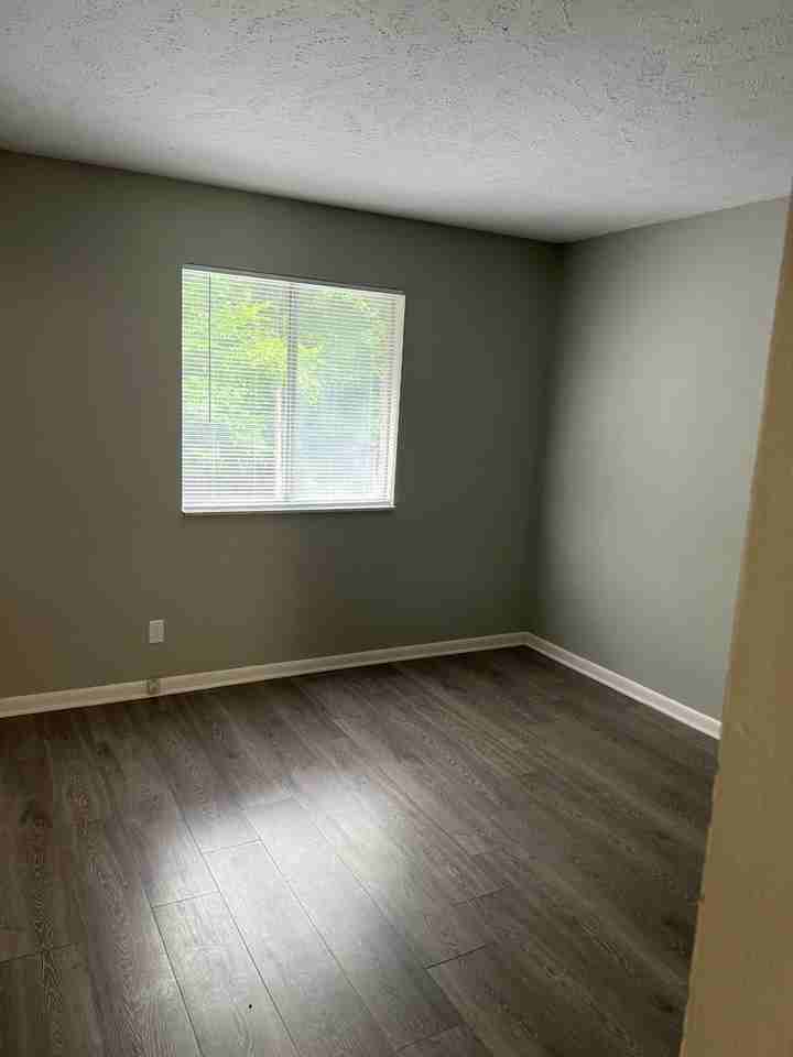 100 Orchard Hill Dr #203 - Photo 2 of 11