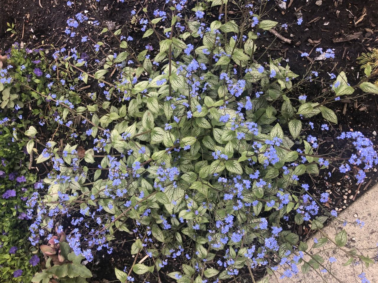 W 14th Ave & Arbutus St - Photo 6 of 29