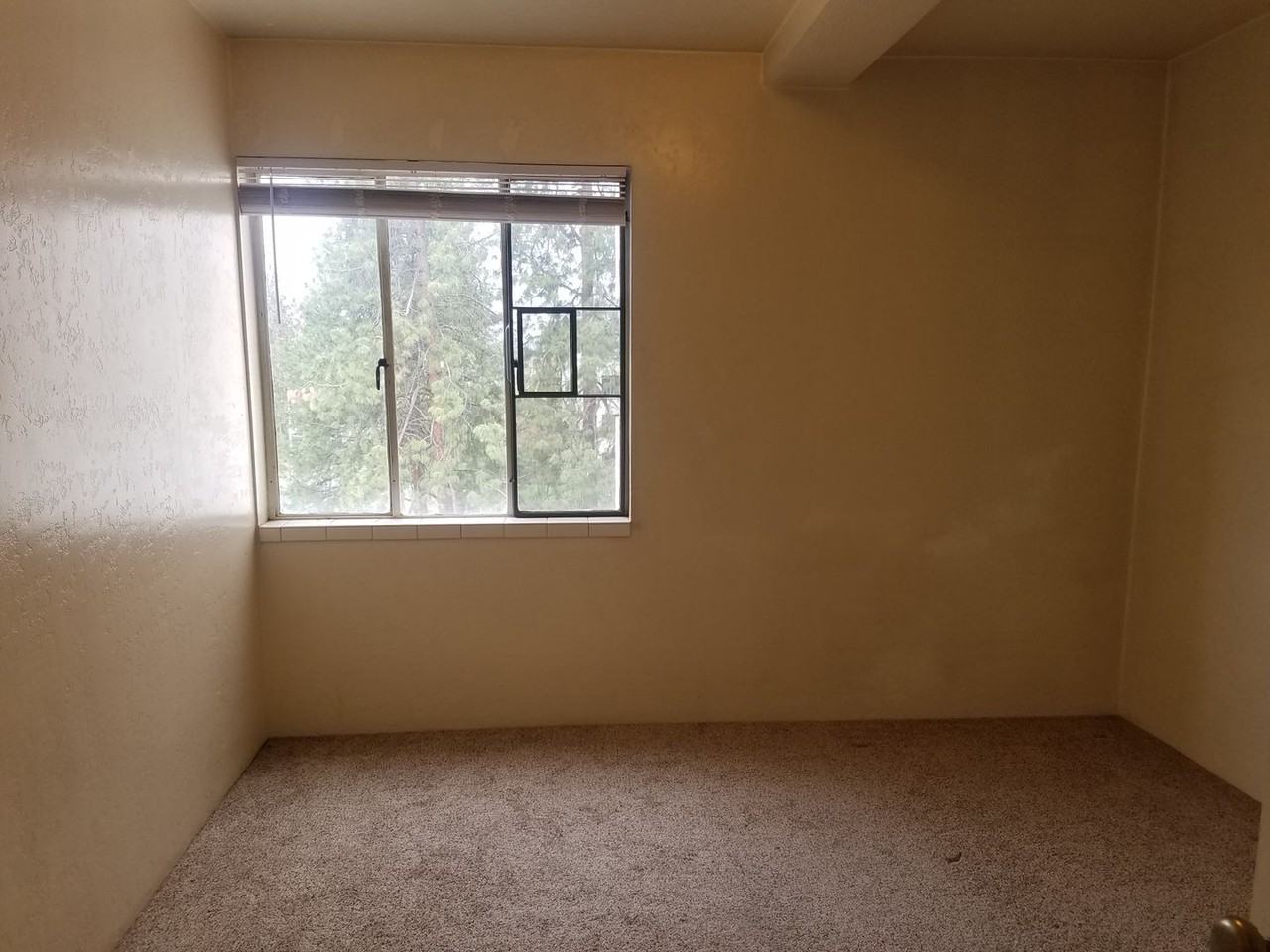 The Medford Plaza - Photo 4 of 34