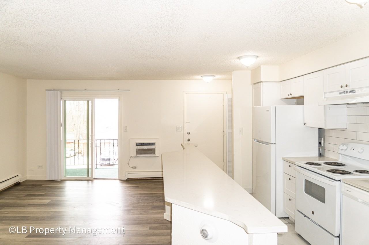 4643 S Lowell Blvd - Photo 6 of 20