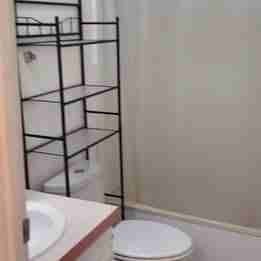 Rainier Proper T - Photo 3 of 4