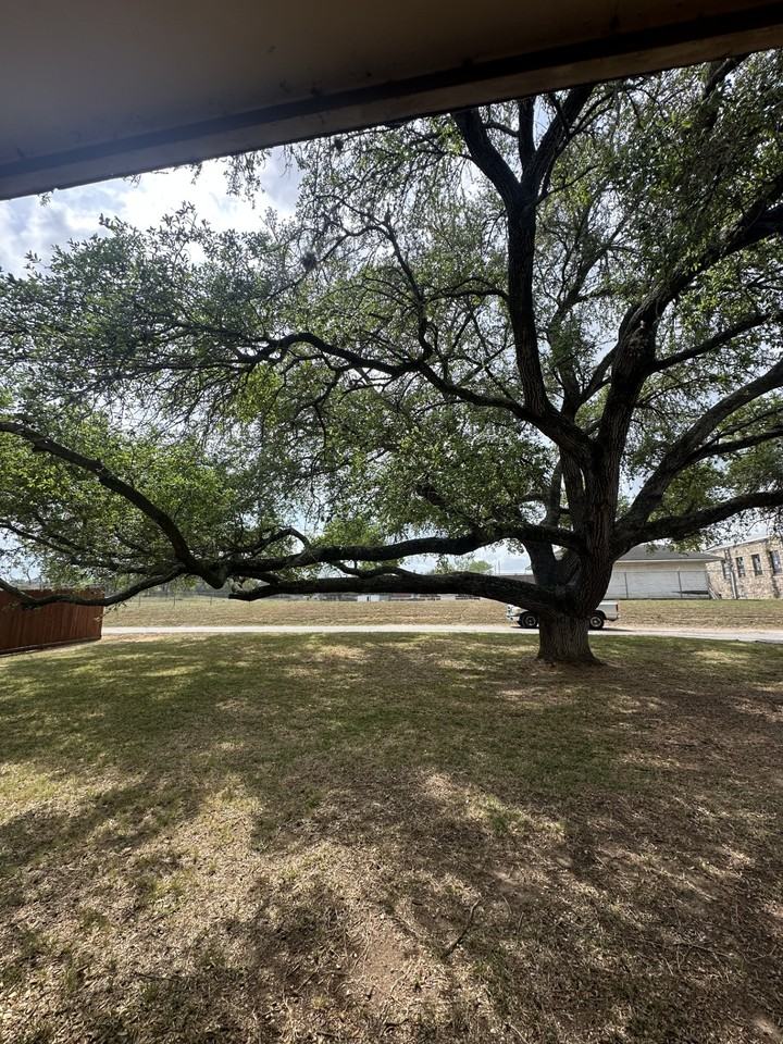 1206 Tom Dee St #1 - Photo 2 of 9