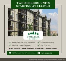 Tamarack Gardens - Photo 1 of 1