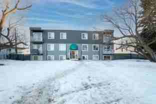 Pet Friendly 2 Bedroom, 1 Bathroom Apartment - Photo 1 of 1