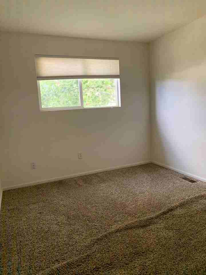 1723 Dove Creek Cir - Photo 7 of 16