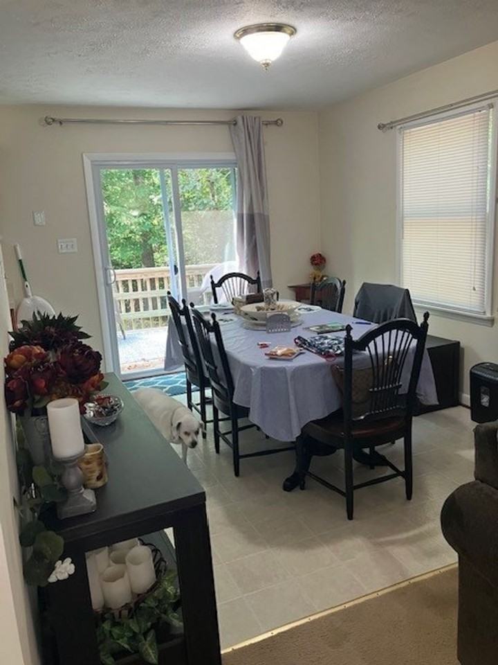 781 Dry Creek Ct - Photo 4 of 16