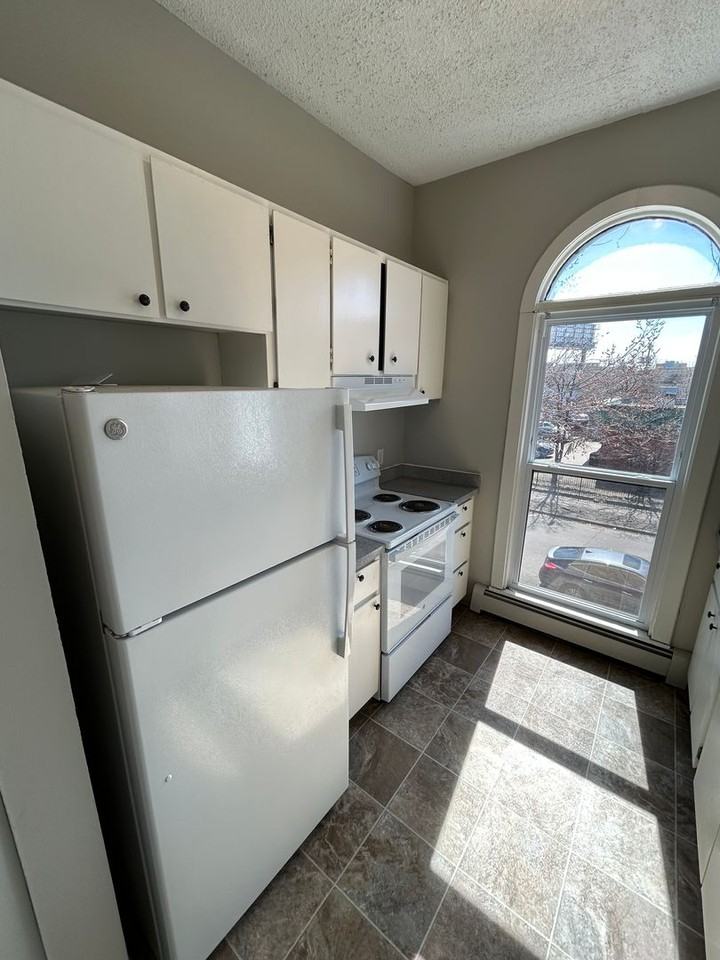 736 East 16th Street (New Town) - Photo 5 of 22