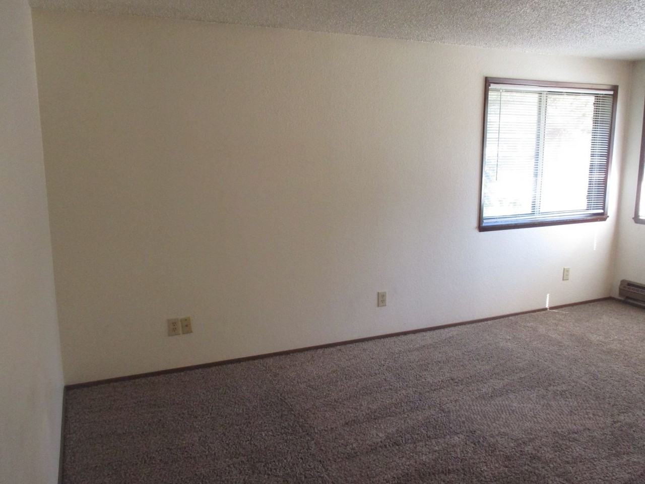 13104 86th Ave E - Photo 4 of 13