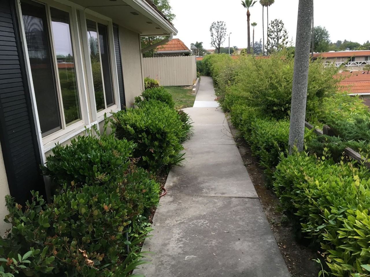 23491 Los Adornos - Photo 2 of 7