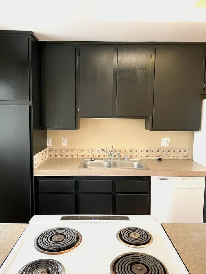 23491 Los Adornos - Photo 5 of 7