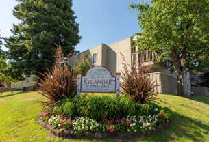 38655 Paseo Padre Pkwy - Photo 1 of 1