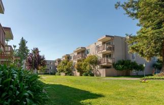 38655 Paseo Padre Pkwy - Photo 1 of 1