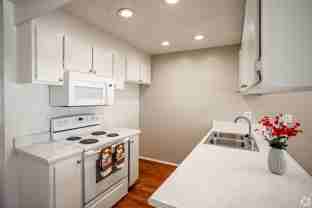 Peppertree - Photo 1 of 1