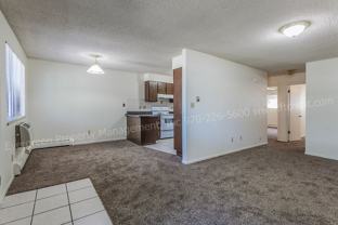 1707 & 1717 Cheyenne Ave - Photo 1 of 1