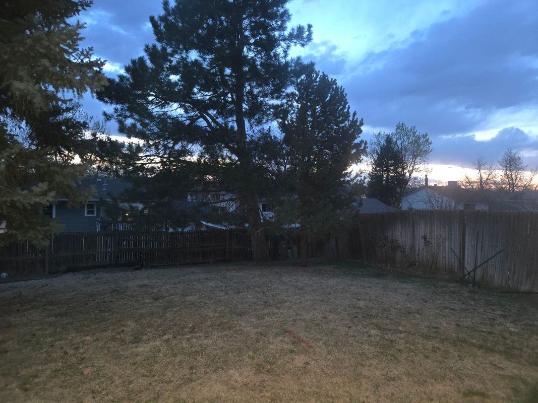 1899 S Mobile St - Photo 5 of 5