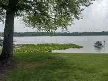 44361 66th St - Photo 1 of 1