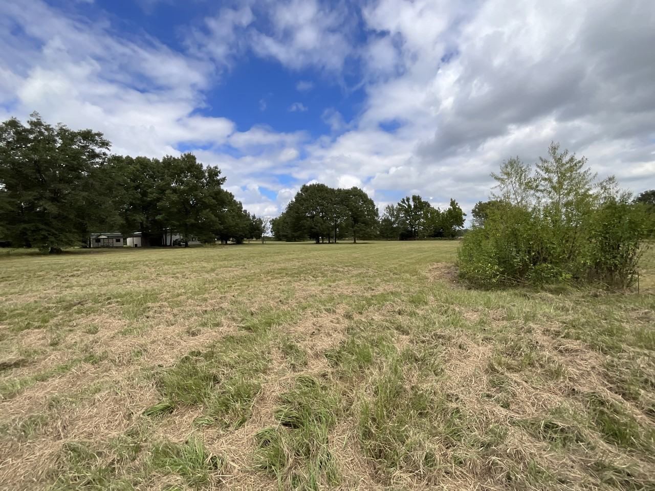 403 Vz County Road - Photo 4 of 21