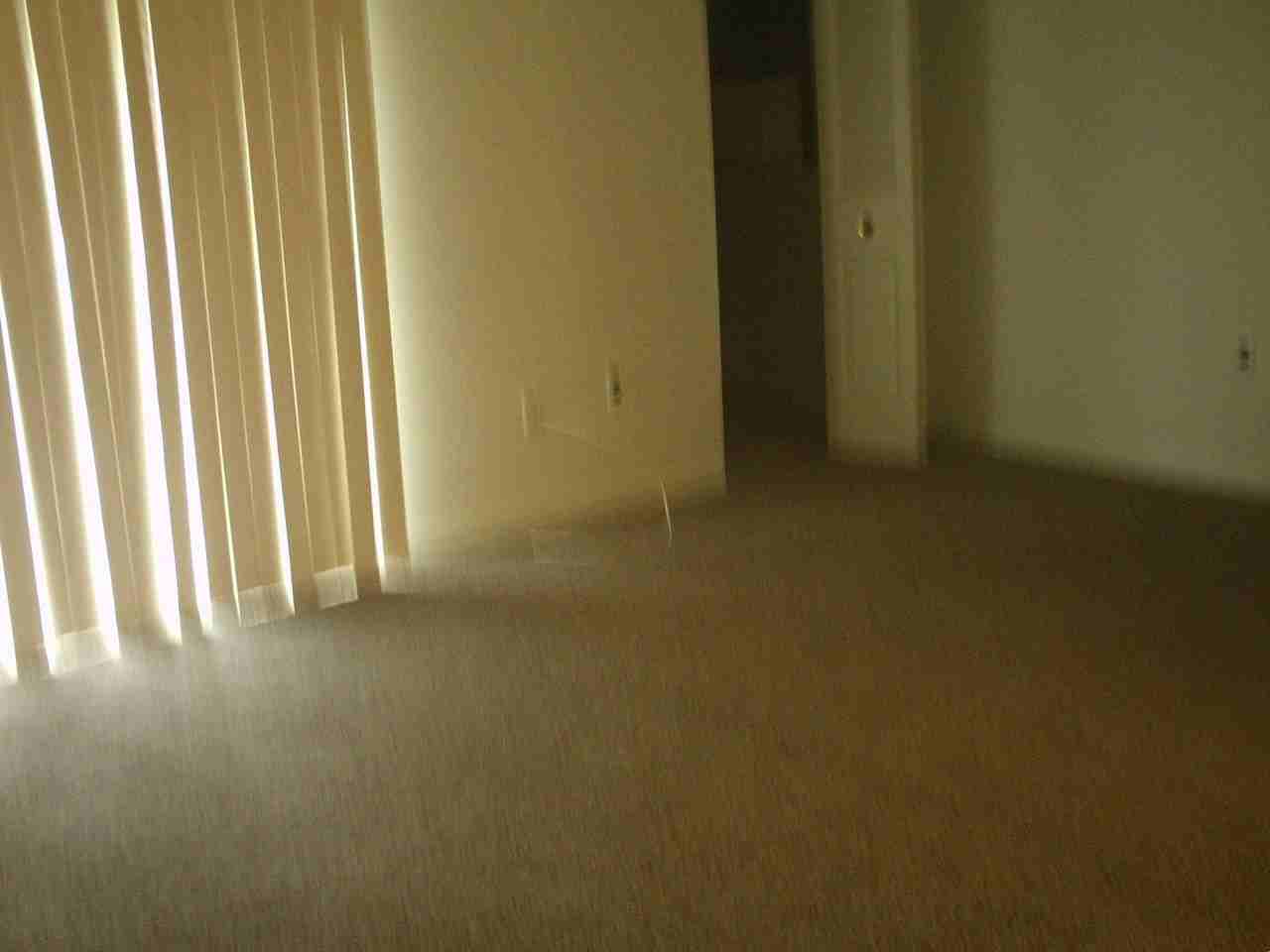 6 Berwyn Hall - Photo 3 of 4