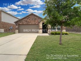7953 Cactus Plum Dr - Photo 1 of 1