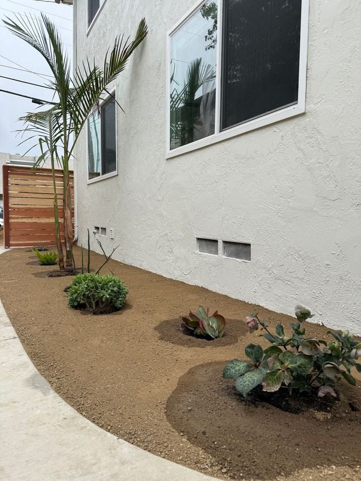 Kensington-NorthPark Gem - Photo 3 of 23