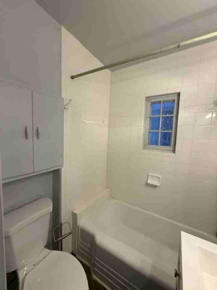 1060 N Downing St - Photo 4 of 10