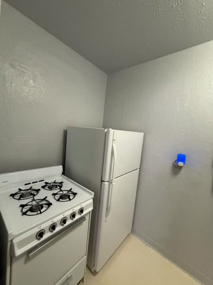 1060 N Downing St - Photo 6 of 10