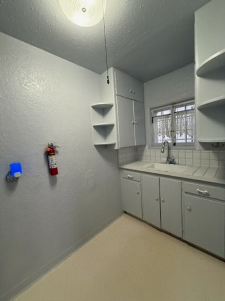 1060 N Downing St - Photo 7 of 10