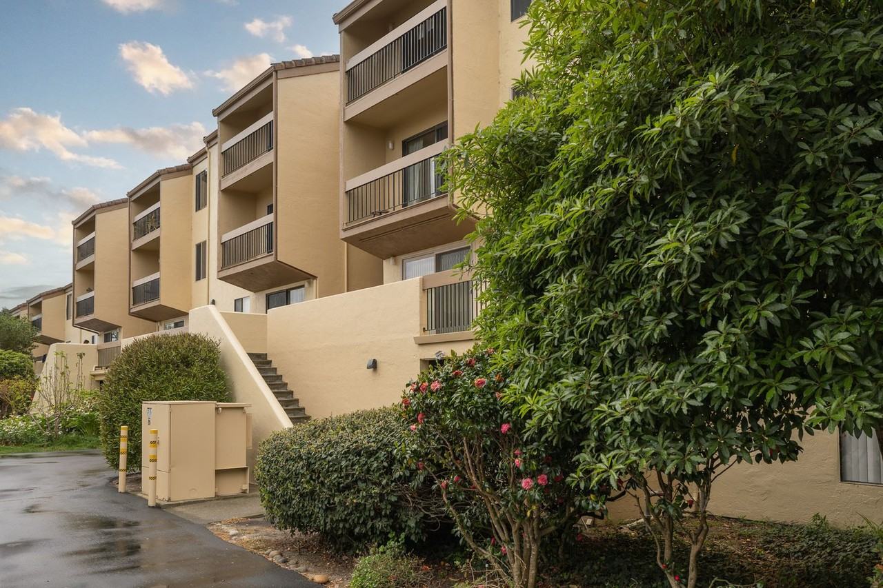 3205 Golden Oaks Ln - Photo 3 of 16