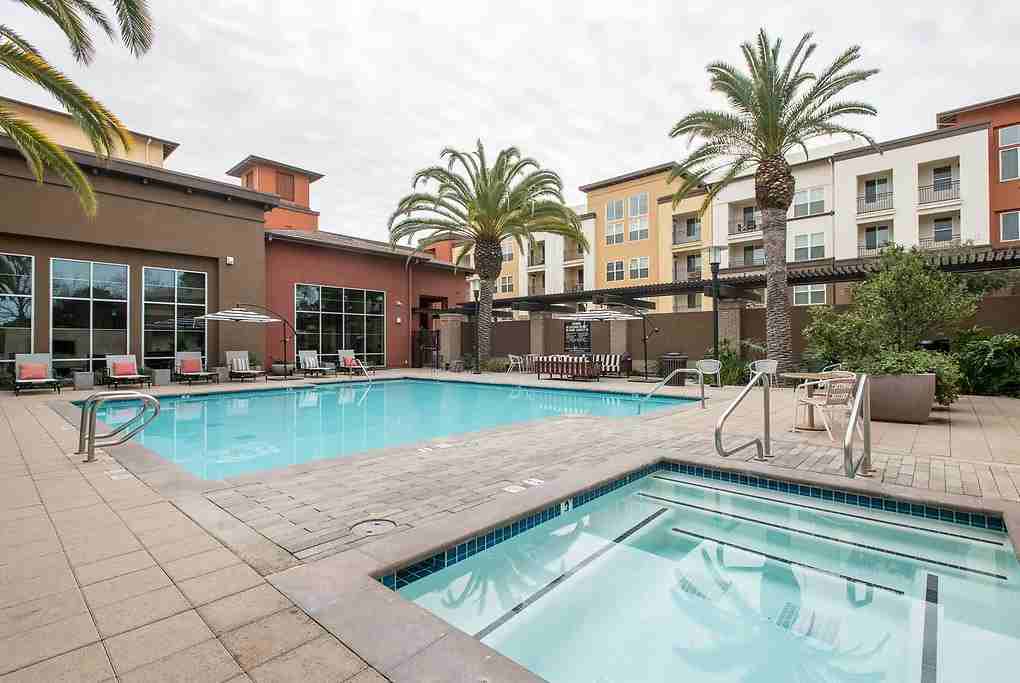 Paragon - Photo 2 of 50