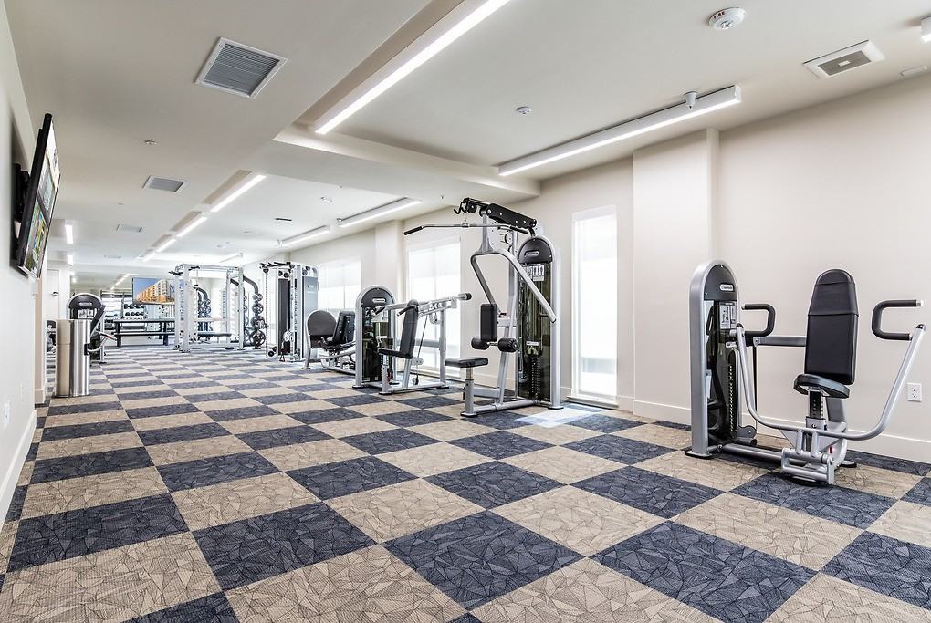 Patina at Midtown - Photo 6 of 50