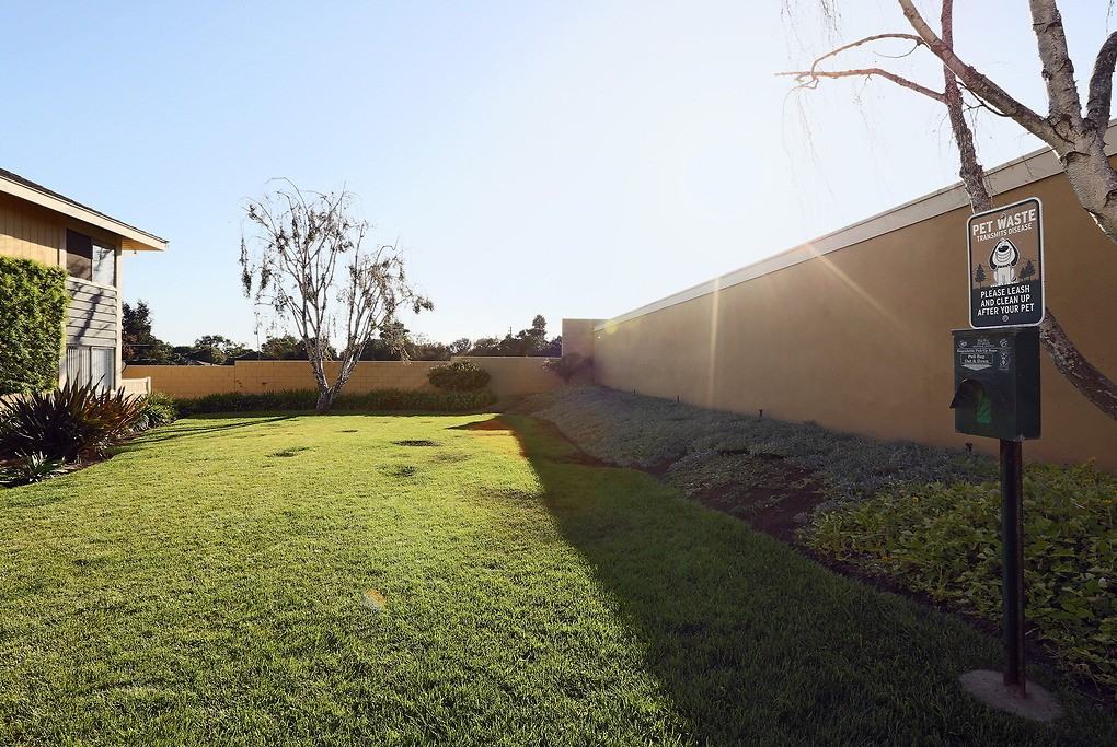 The Lofts at Pinehurst - Photo 5 of 40