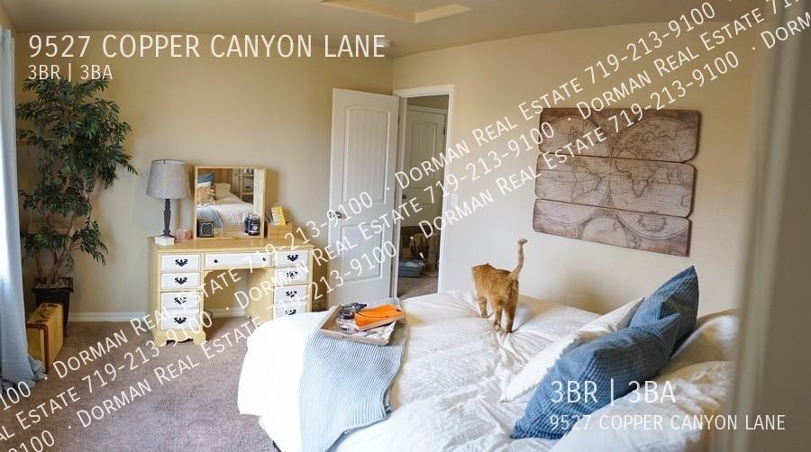 9527 Copper Canyon Ln - Photo 7 of 21