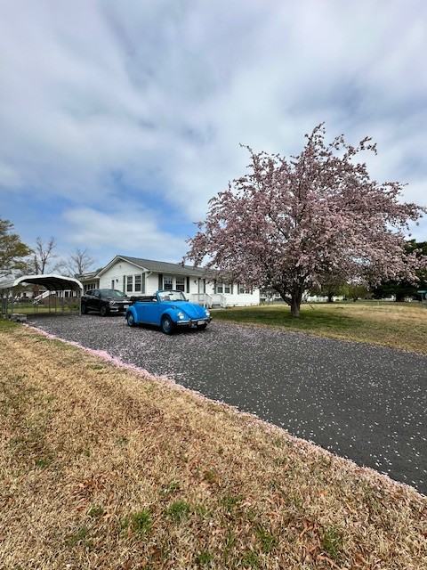 59 Mattox Bay Dr #NA - Photo 4 of 29