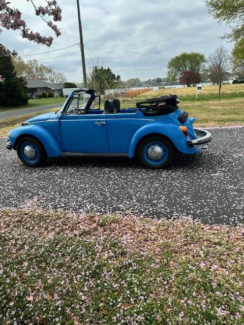 59 Mattox Bay Dr #NA - Photo 6 of 29