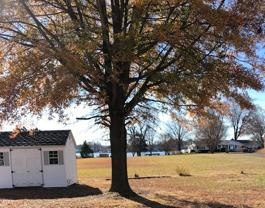 59 Mattox Bay Dr #NA - Photo 1 of 1