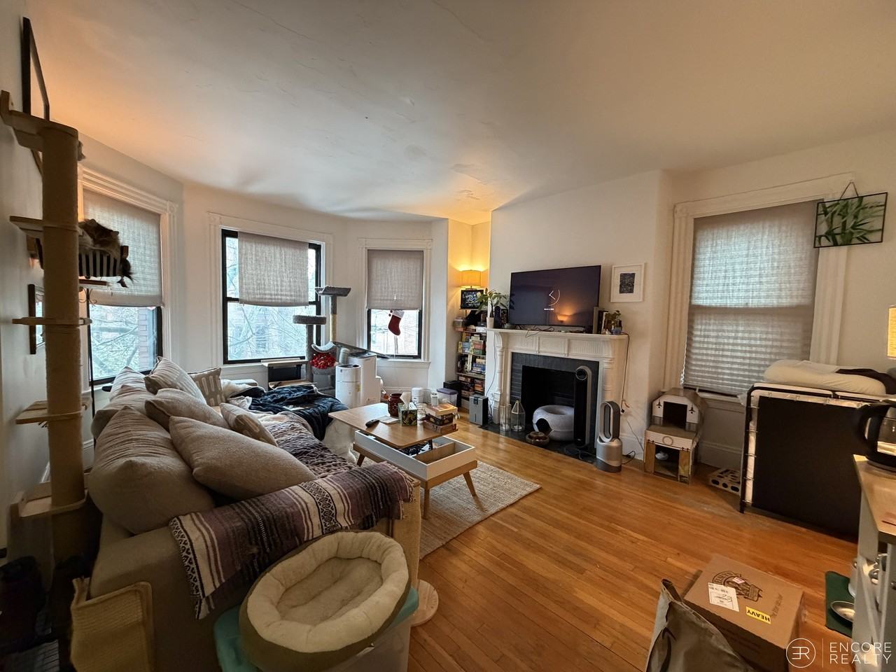 16 Davis Ave #4