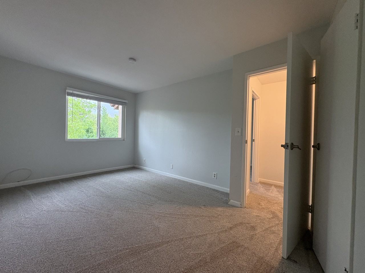 1558 Center Rd #8 - Photo 6 of 14