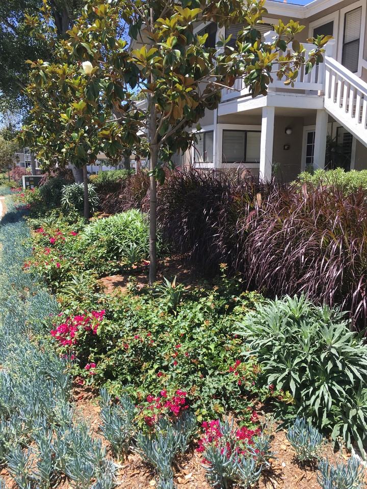 111 Tarocco #111TAROCCO - Photo 2 of 13