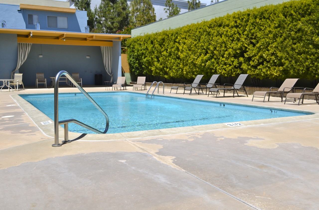 1162 Saranap Ave #28B - Photo 2 of 7