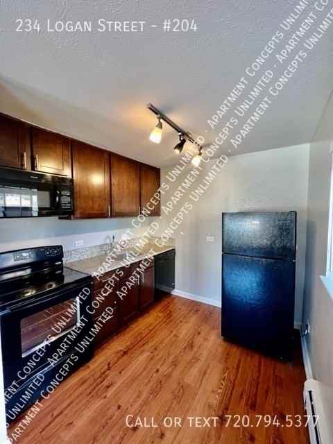 234 N Logan St #204 - Photo 4 of 8