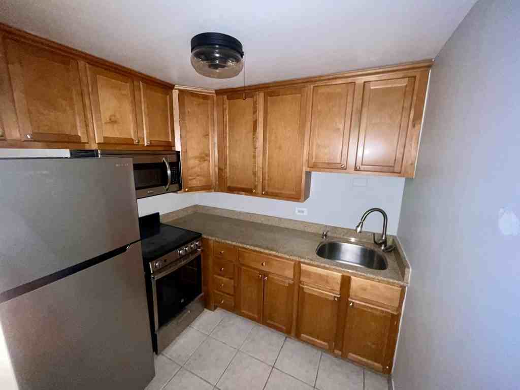 233 E Erie St #1902 - Photo 2 of 8
