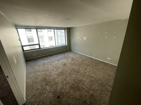 233 E Erie St #1902 - Photo 3 of 8