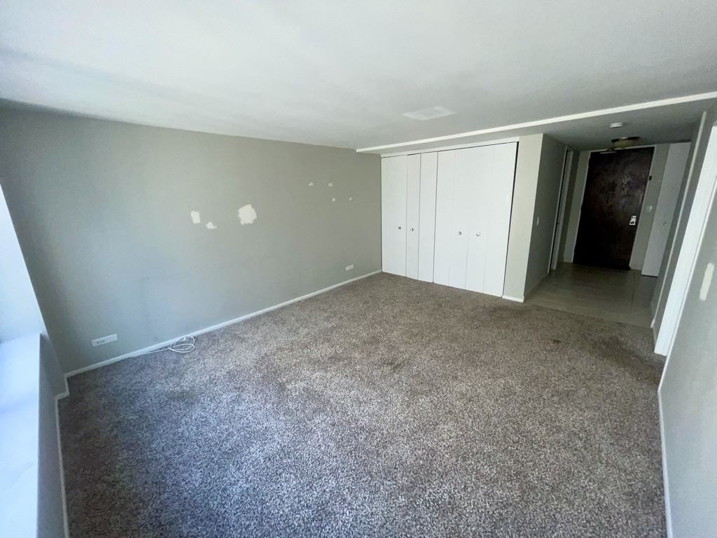 233 E Erie St #1902 - Photo 4 of 8