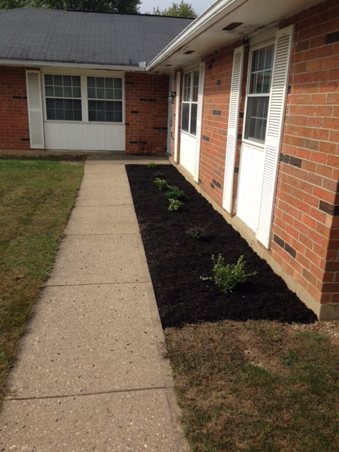 1128 Amherst Dr #G3 - Photo 3 of 14