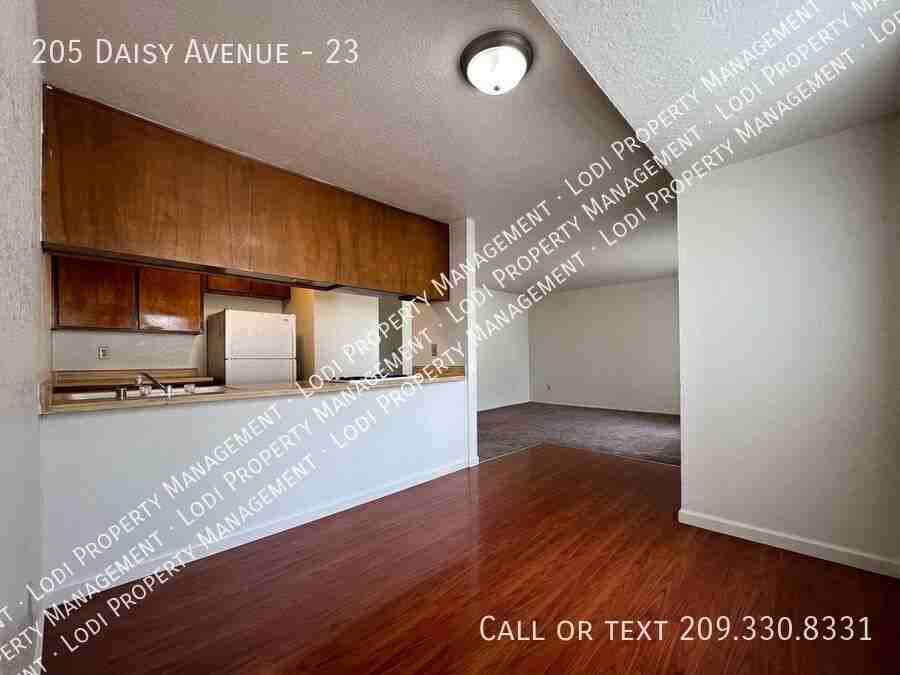 205 Daisy Ave #23 - Photo 4 of 14