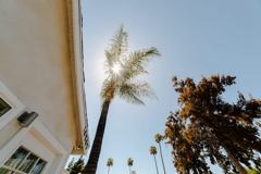 14836 Archwood St #14 - Photo 1 of 1