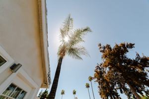 featured image of 14836 Archwood St #14