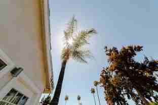 14836 Archwood St #14 - Photo 1 of 1