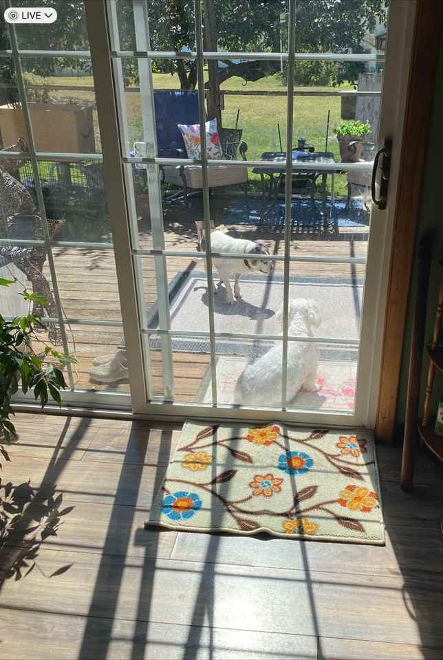 1414 3rd Ave - Photo 3 of 14